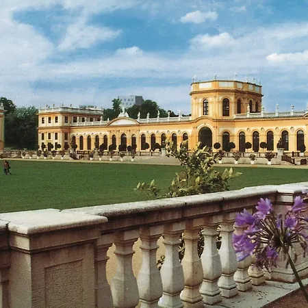 Western Ambassador باوناتال